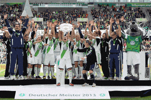 champions league women GIF by VfL Wolfsburg