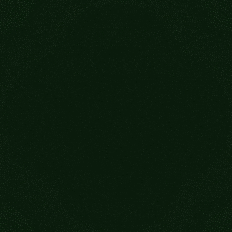 Festival Presidente 2026 GIF by Cerveza Presidente