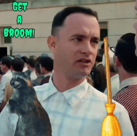 Get A Broom GIF