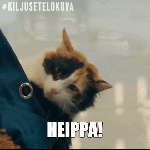 Kissa Hei Hei GIF by Nordisk Film Finland