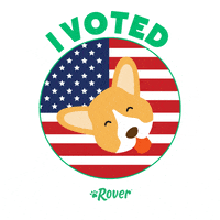 Election 2020 Vote GIF by Rover.com