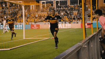 Let&#39;S Go Yes GIF by Houston Dynamo