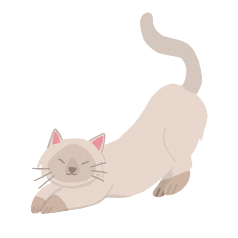 Cat Stretch Sticker