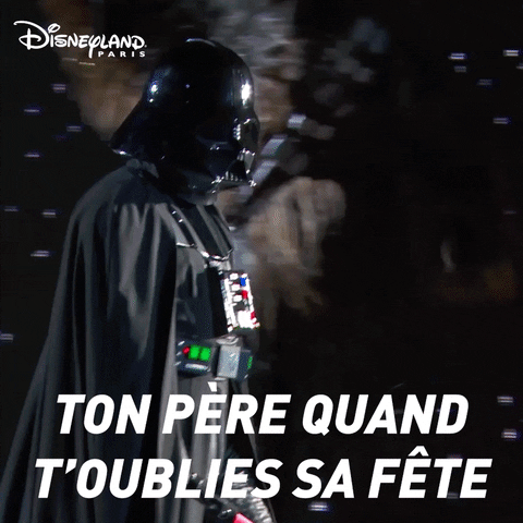 Star Wars Force GIF by Disneyland Paris