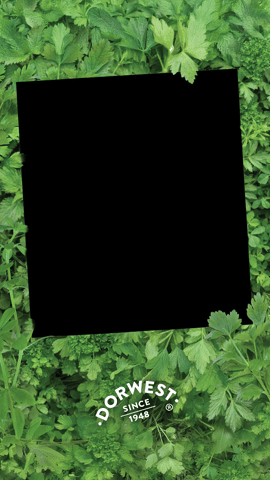 Dorwest Herbs GIF