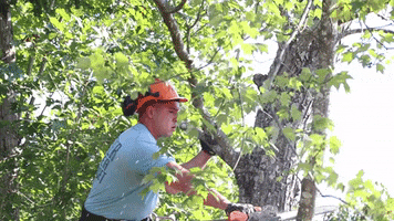 Chainsaw Hard Hat GIF by JC Property Professionals