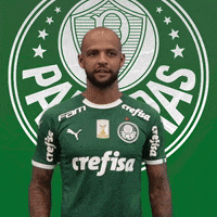 felipe melo soccer GIF by SE Palmeiras