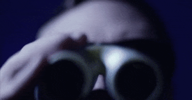fan shades GIF by Polyvinyl Records