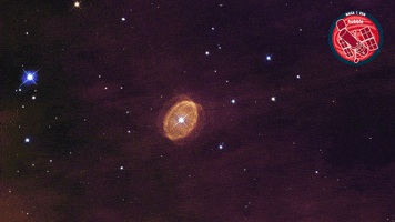 Star Looking GIF by ESA/Hubble Space Telescope