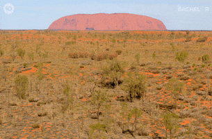 Northern Territory Aussie GIF by The Bachelor Australia