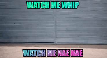 Withwendy Armflapping GIF