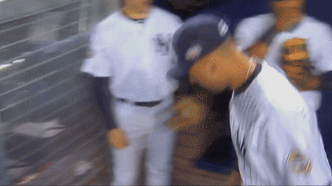 Yankees Fan GIF by Jomboy Media - Find & Share on GIPHY