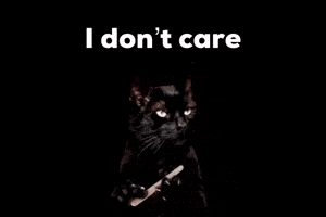 I Dont Care GIF