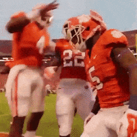 College Football Watson GIF by Clemson Tigers