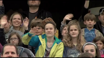 Fans GIF by West Michigan Whitecaps 