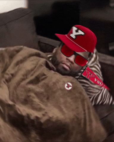 Youngstown State Penguins GIF