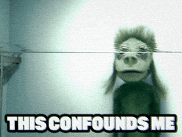 This Confounds Me GIF
