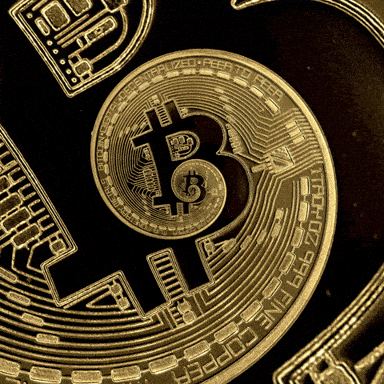 Bitcoins GIFs - Get the best GIF on GIPHY