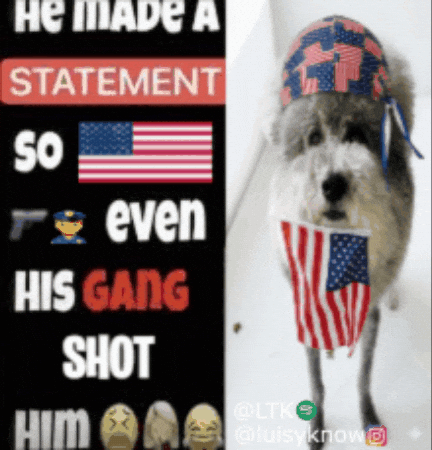 United States Usa GIF