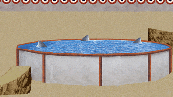 jumping the shark GIF by Scorpion Dagger