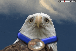 Eagle GIF by SB Nation