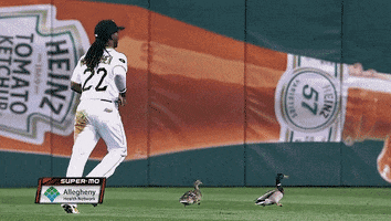 Pittsburgh Pirates Baseball GIF by SB Nation