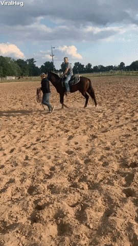 Horse Rider Wasnt Quite Ready For Takeoff GIF by ViralHog