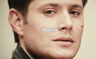 buffy the vampire slayer spn GIF