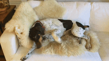snuggling heart of television GIF by Hallmark Channel