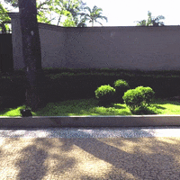 200.gif?cid=fc005b084076ec1f57a92f1e288d422839e027ff4f80335d&rid=200.gif&ct=g