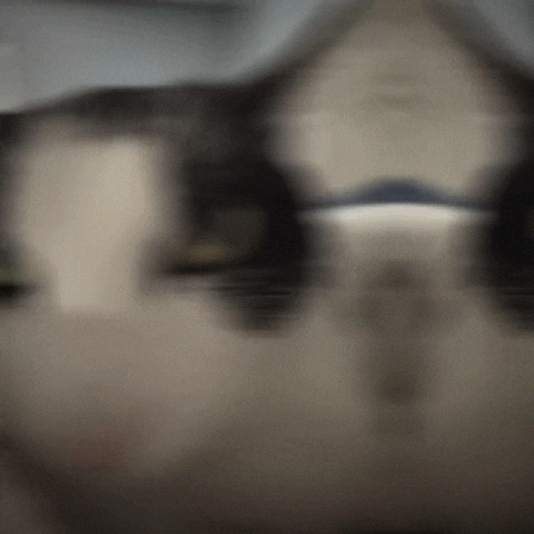 Cat GIF