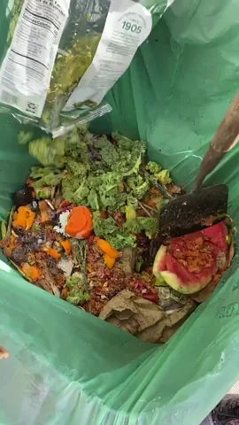 Food Diy GIF by Common Ground Compost