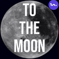 To The Moon GIF by Lockness
