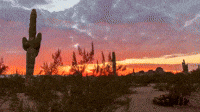 phoenix arizona GIF phoenix arizona GIF