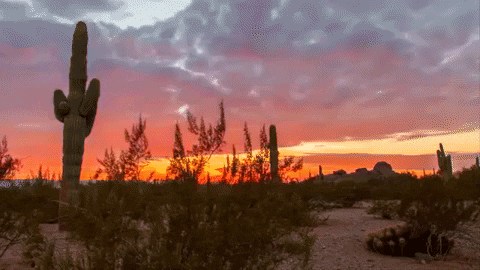 Phoenix Arizona GIF - Find & Share on GIPHY