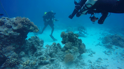blue planet scuba happy hour blue planet scuba happy hour
