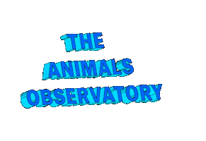 Sticker by The Animals Observatory
