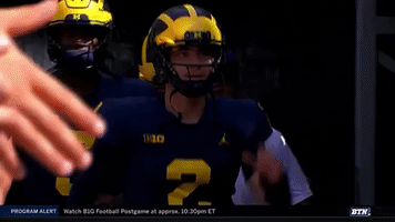 patterson high five fans michigan football GIF by Michigan Athletics