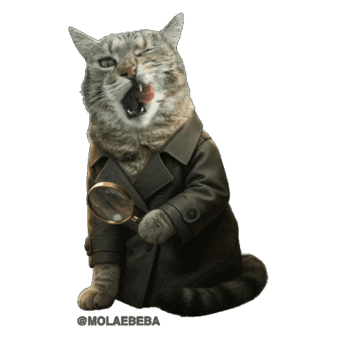 Sherlock Holmes Cat Sticker