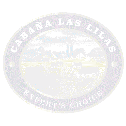 Carne Churrasco Sticker by Minerva Foods