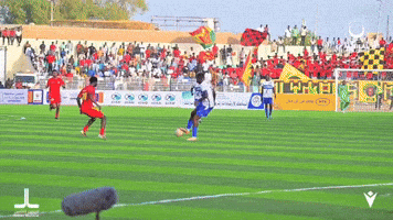 Memo Sudan GIF