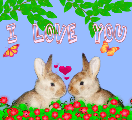 rabbits