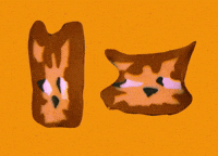 Dancing-twins GIFs - Get the best GIF on GIPHY