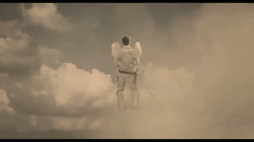 The Ballad Of Buster Scruggs Netflix GIF