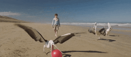 200.gif?cid=fc005b088049bc8c8363ad494f0949fb18c17c806667a7b1&rid=200.gif&ct=g