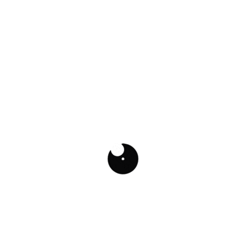 panoramicams Sticker
