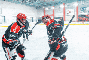 Tremblay Hockey Sur Glace GIF by Dogs Cholet