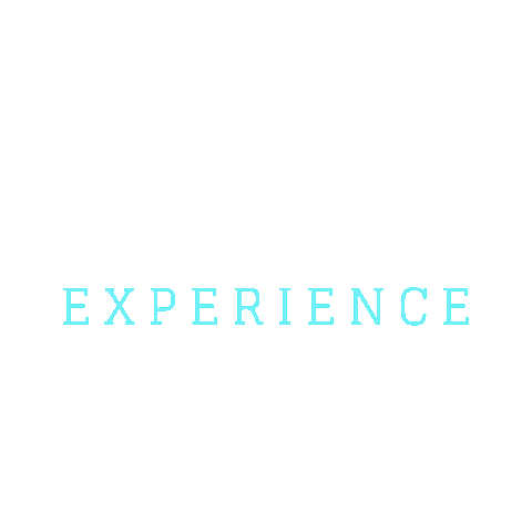 Cheers Travel Sticker