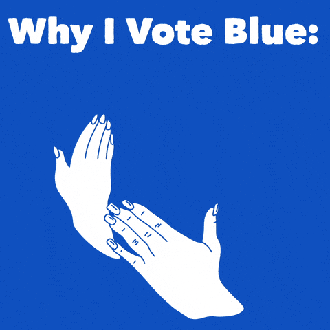 Why I vote Blue: receipts, proof, timeline, screenshots
