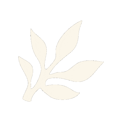 Skincare Waxing Sticker by The Pink Canoe Studio